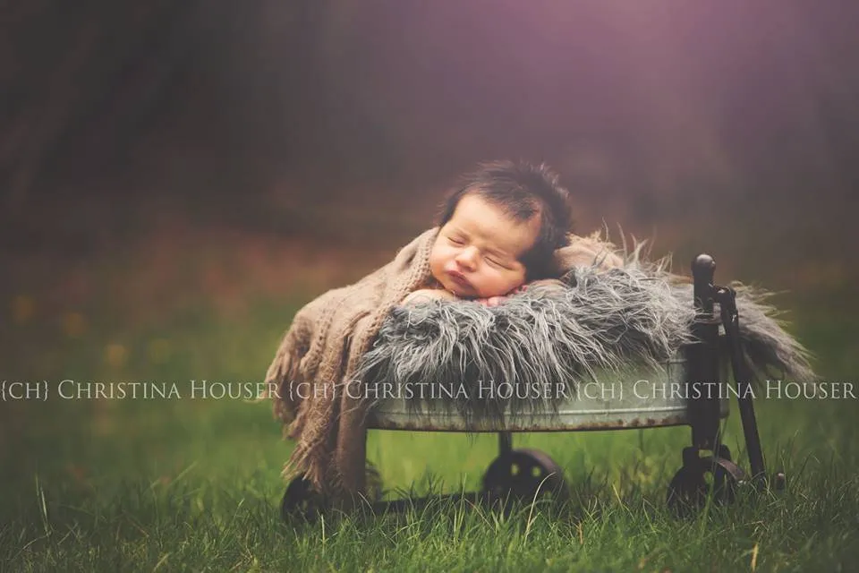 Gray Mongolian Fur Nest Photography Prop Rug Newborn Baby