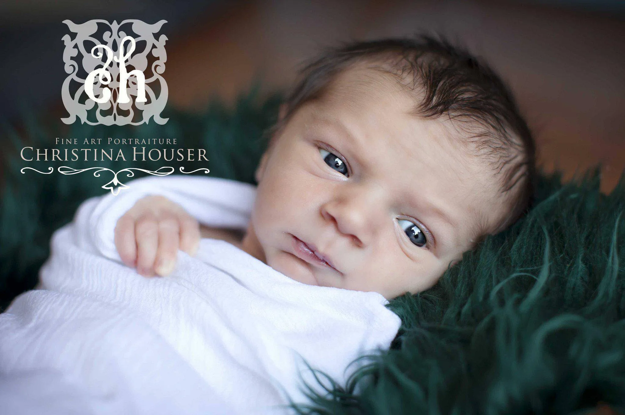 Hunter Green Mongolian Fur Nest Photography Prop Rug Newborn Baby